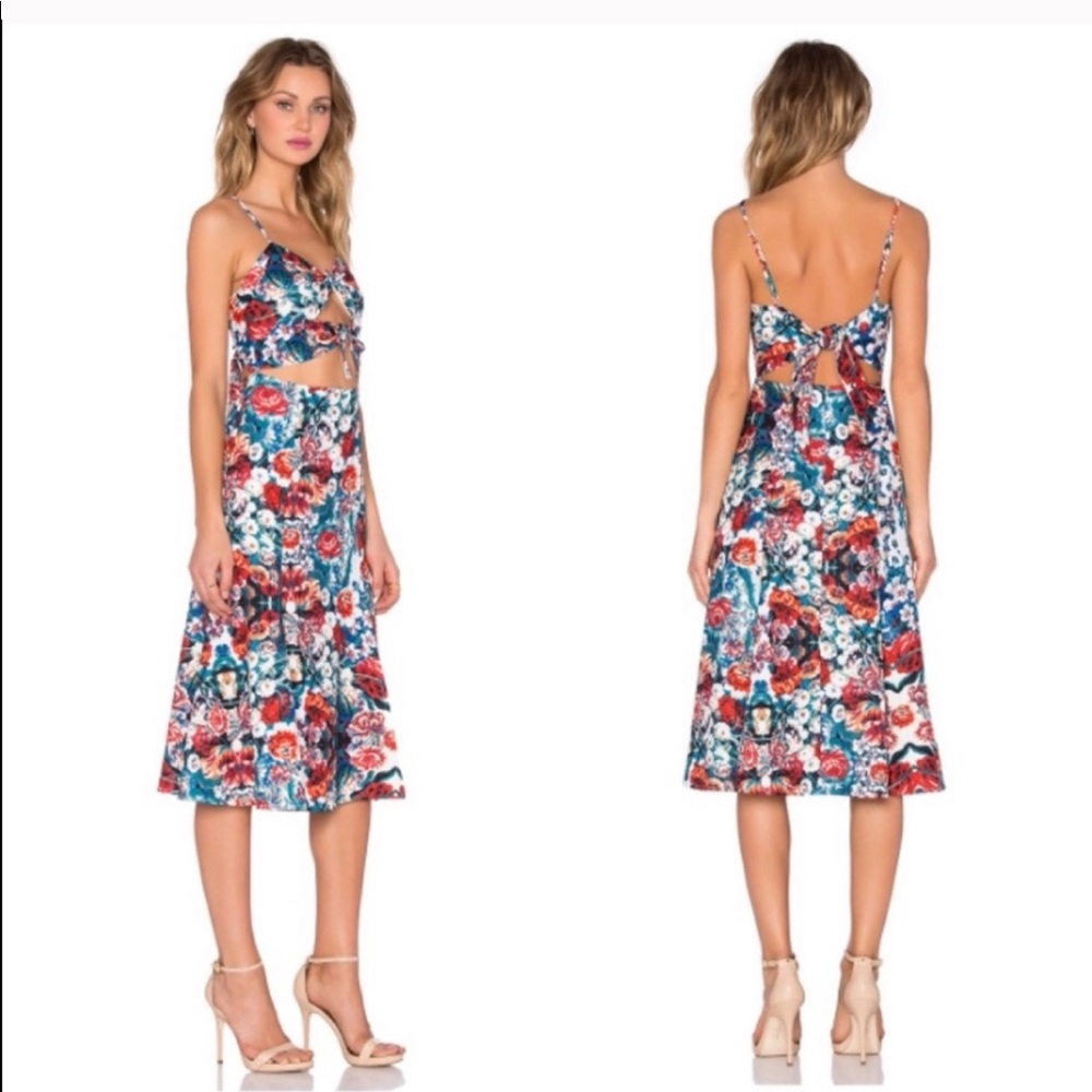 NBD Floral Dress